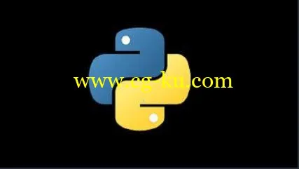 Python Programming Professional Course的图片1