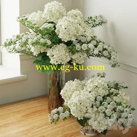 Hydrangea 2的图片1