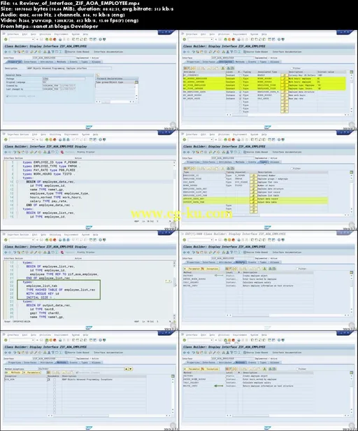 SAP ABAP Objects: Advanced Programming Techniques的图片1