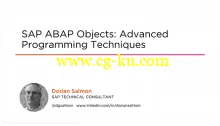 SAP ABAP Objects: Advanced Programming Techniques的图片2