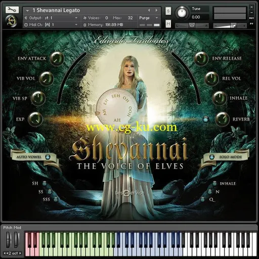 Best Service Shevannai the Voices of Elves KONTAKT的图片1