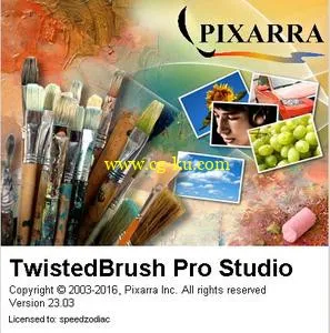 Pixarra TwistedBrush Pro Studio 24.01的图片1