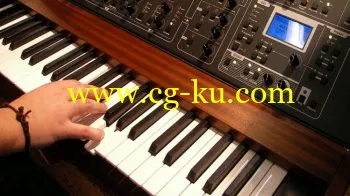 Learn 200+ Songs on Piano 1 by 1的图片1