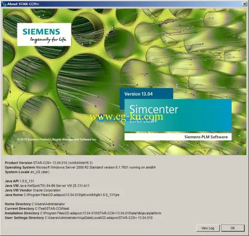 Siemens Star CCM+ 13.04.010 Win64的图片3