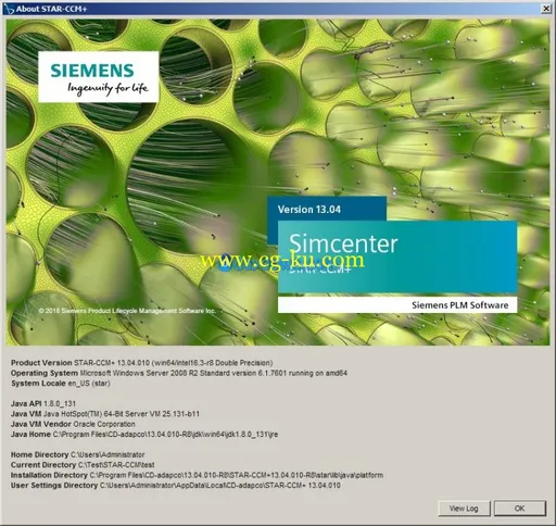 Siemens Star CCM+ 13.04.010-R8 Win64  (double precision)的图片3