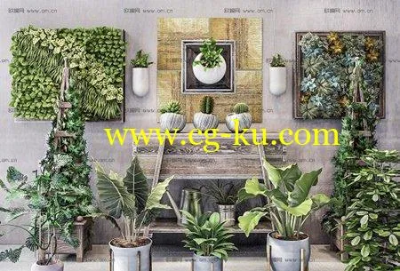 Modern Monstera Dripping Water Wall Potted Plant Collection的图片1
