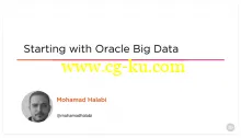 Starting with Oracle Big Data的图片1