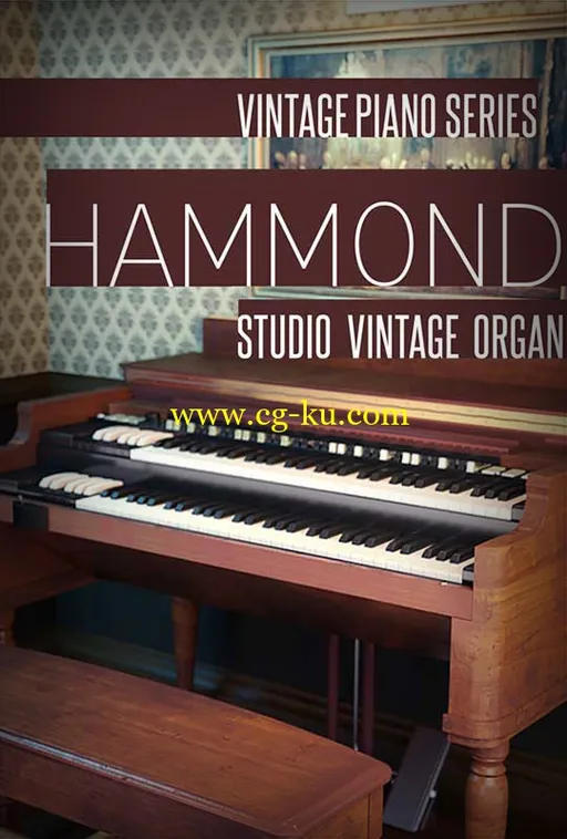 8Dio Studio Vintage Series Studio Organ KONTAKT的图片1