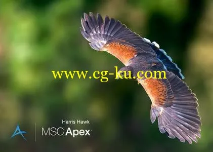 MSC Apex Harris Hawk SP1 x64的图片1