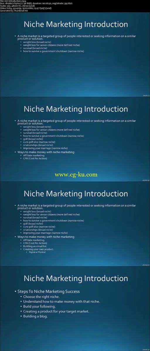 Passive Income with Niche Websites的图片2