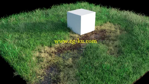 CGCookie – Creating Grass in Blender的图片1