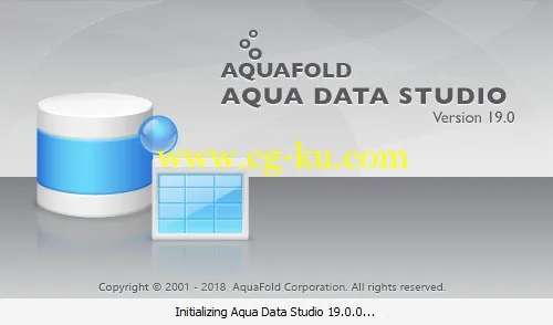 Aqua Data Studio 19.0.2的图片1