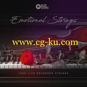 BlackOctopusSound Emotional Strings KONTAKT的图片1