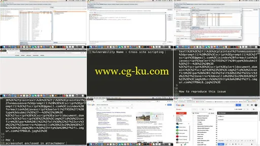 Bug Bounty Hunting – Offensive Approach to Hunt Bugs的图片1