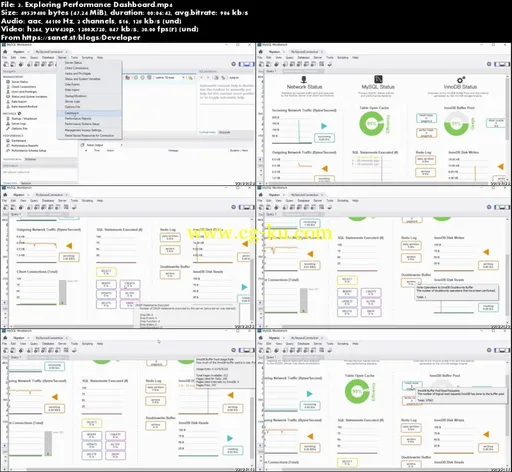 MySQL and MySQL Workbench For beginners的图片1