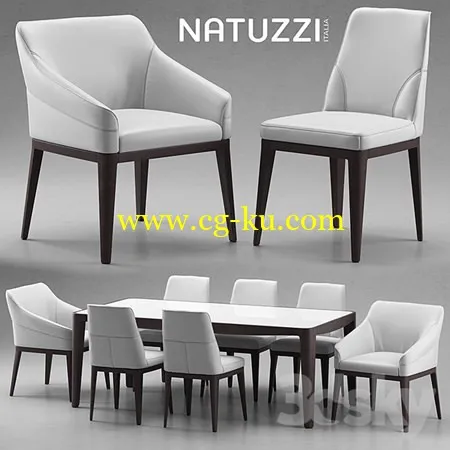 Table and chairs Natuzzi minerva, Saturno, Vesta的图片1