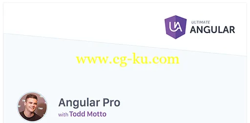 Ultimate Angular – Angular Pro的图片1