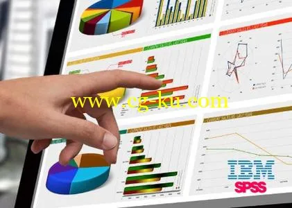 IBM SPSS Statistics 24.0 HF002 IF011的图片1