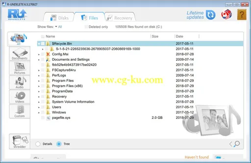 R-Undelete 6.5 Build 170927 Multilingual的图片1