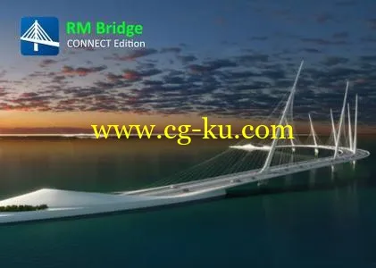 RM Bridge CONNECT Edition V11 Update 3 Product Line的图片1