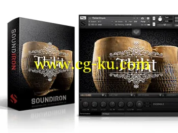 Soundiron TBILAT DRUM KONTAKT WAV的图片1