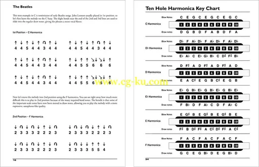 Cherry Lane Music – Rock Harmonica – Al Ek – DVD (2013)摇滚口琴的图片4