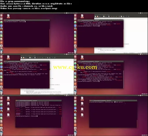 Linux Command Line Tutorial (Learn Linux Basics)的图片2