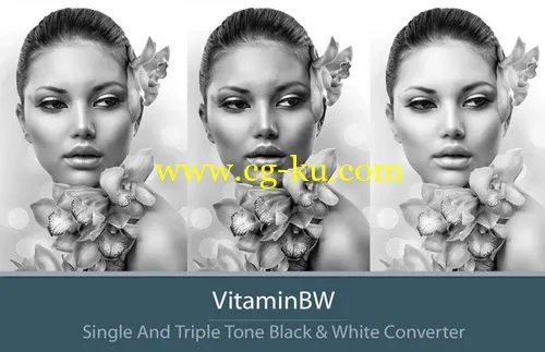 VitaminBW 2.0.2 for Adobe Photoshop Win/MacOS的图片1