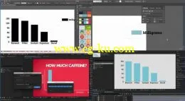 Data Visualization & Motion Graphics -Adobe After Effects CC的图片3