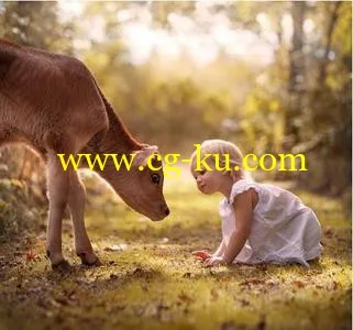 Elena Shumilova Photography –  Video 1702的图片1