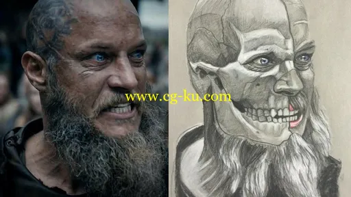 The Skull Anatomy: Drawing Course的图片1