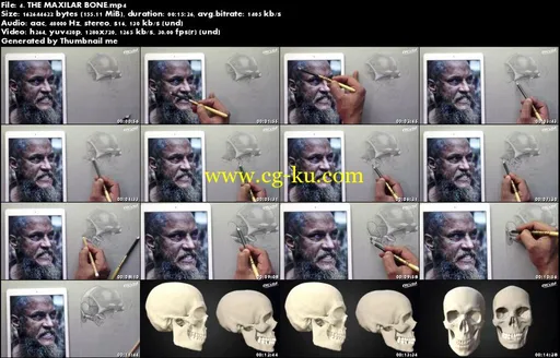 The Skull Anatomy: Drawing Course的图片2