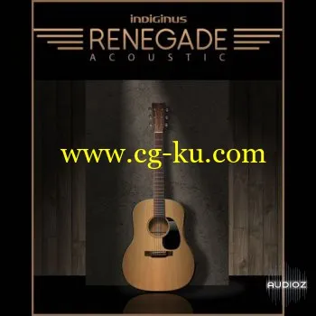 Indiginus Renegade Acoustic Guitar KONTAKT的图片1