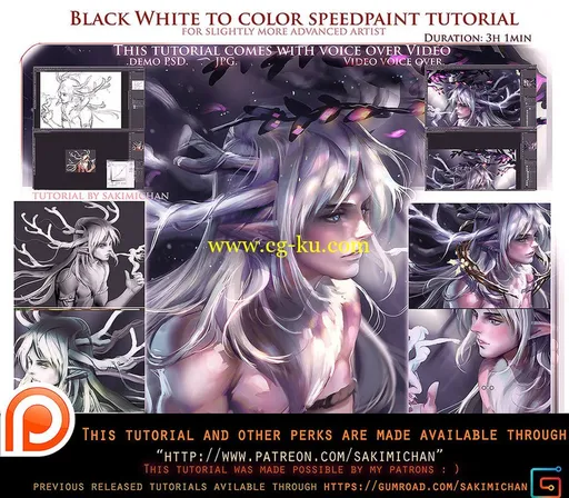 Black/White to Color Speedpaint Voice Over Lesson的图片2