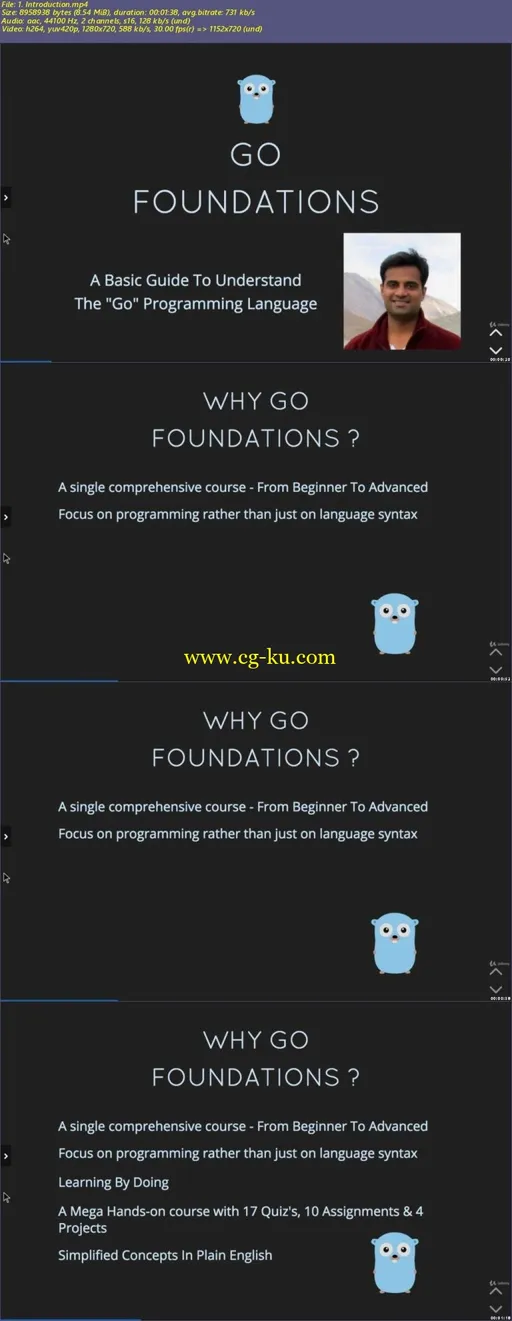 Go Foundations – Learn Go (Golang) From Beginner To Advanced的图片2