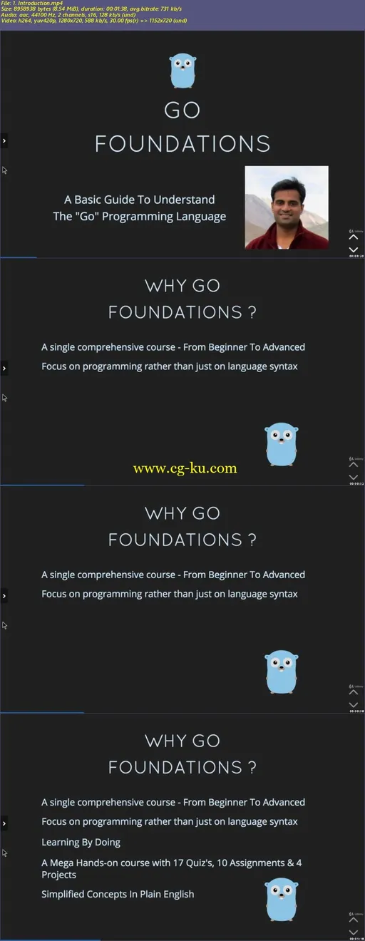 Go Foundations – Learn Go (Golang) From Beginner To Advanced的图片4