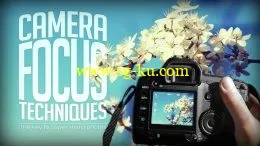 Camera Focus Techniques: The Key To Super Sharp Photos的图片1