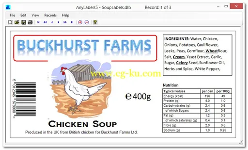 DlSoft AnyLabels 6.12的图片1