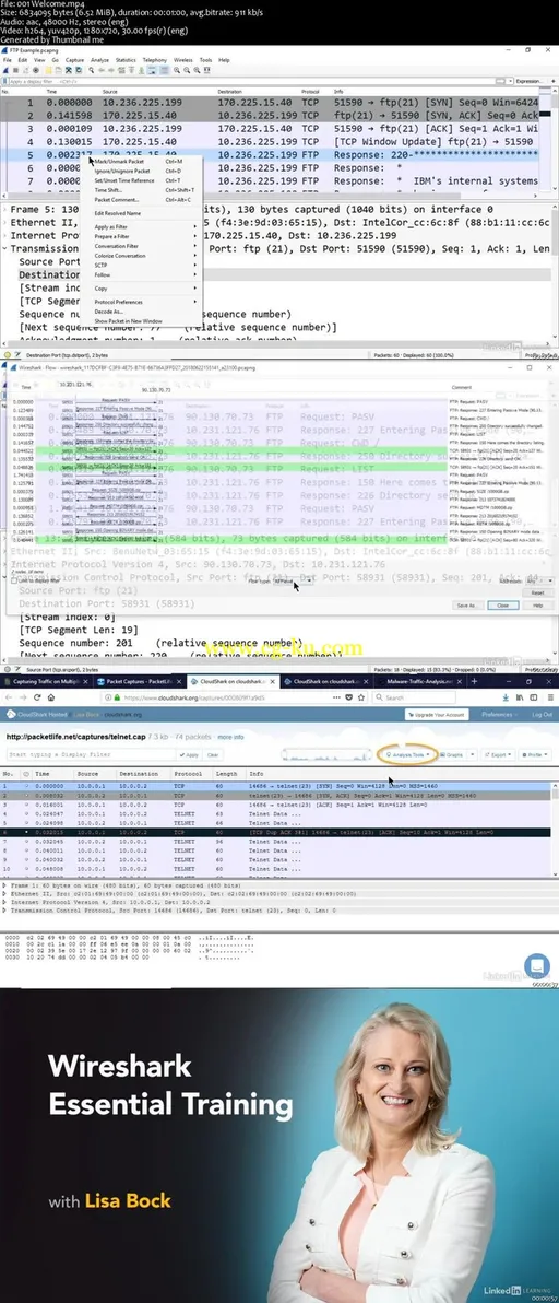 Wireshark Essential Training的图片2