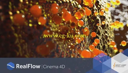 NextLimit RealFlow C4D 2.6.4.0092 Win R17-R19的图片1