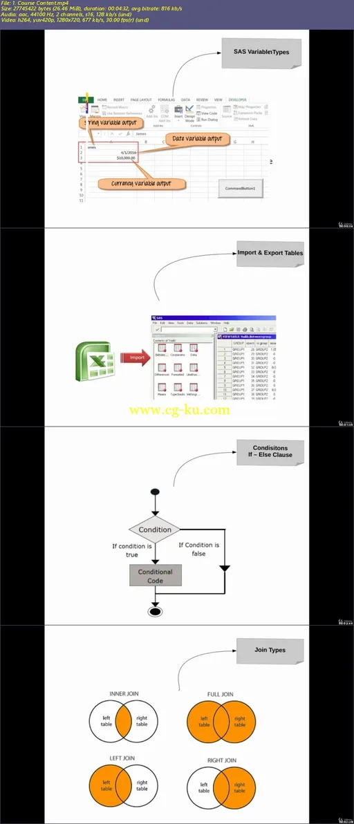 SAS Programming: Data Manipulation and Analysing Techniques的图片4