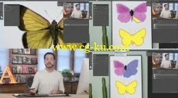 How to Master the Pen Tool in Photoshop的图片1