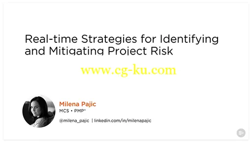 Real-time Strategies for Identifying and Mitigating Project Risk的图片2