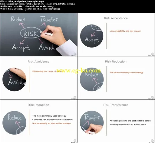 Real-time Strategies for Identifying and Mitigating Project Risk的图片5