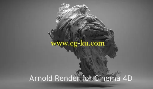 Solid Angle Cinema4D To Arnold 2.4.1.2 for Cinema4D R18-R20的图片1