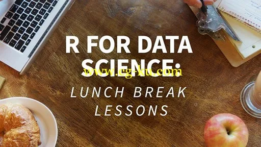 R for Data Science: Lunchbreak Lessons (Updated 9/26/2018)的图片1