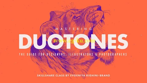 Skillshare – Mastering Duotones in Photoshop的图片1