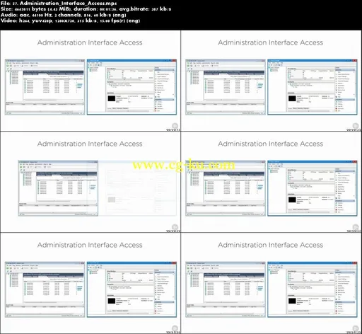 Ethical Hacking: Vulnerability Analysis的图片5