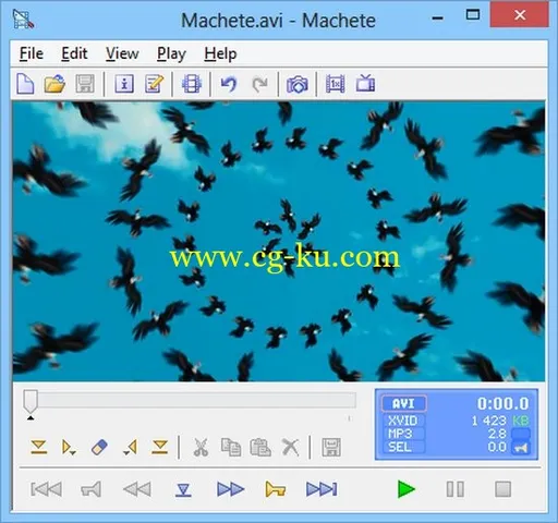 MacheteSoft Machete 5.0 Build 11的图片1