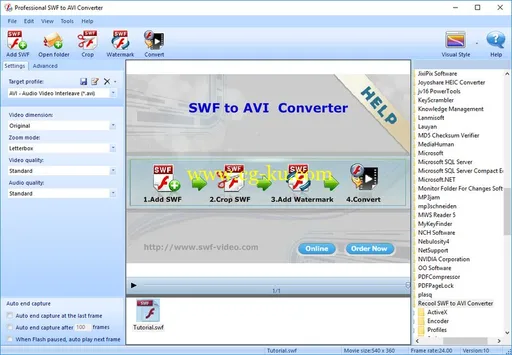 Recool Professional SWF to AVI Converter 4.5 Build 200的图片1